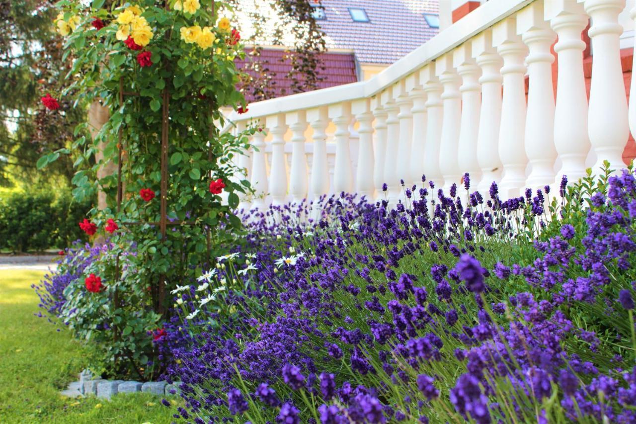 Rosen Villa Каппельн Экстерьер фото